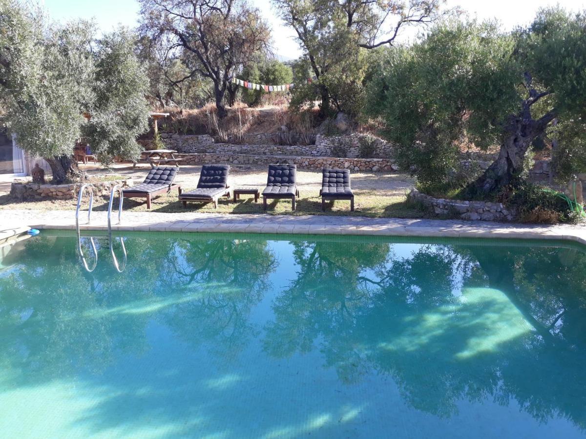 Casa Rio Y Luz Villa Algodonales Eksteriør bilde